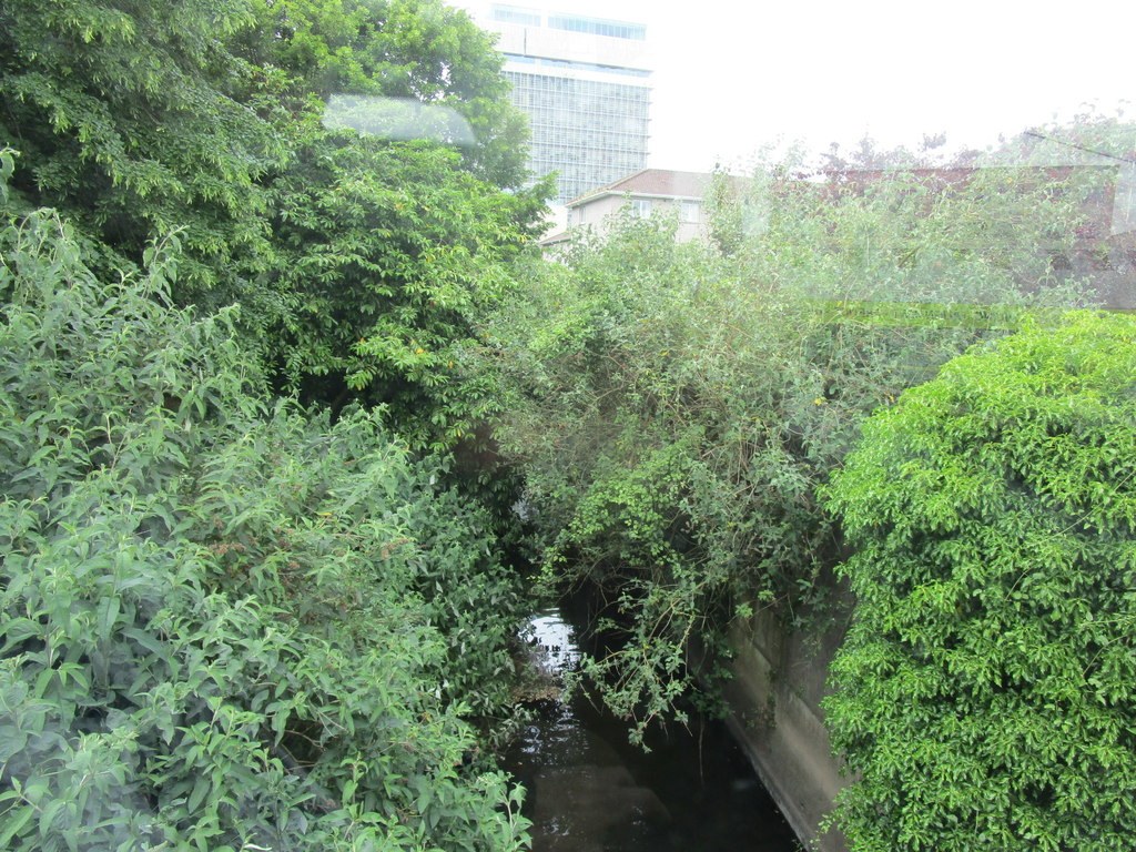 The Curragheen River at Victoria Cross, Cork — the neighbourhood, not the shopfront